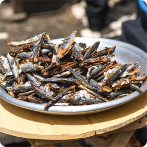 Small Dry Herrings Fish