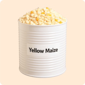 Dwakrom Dry Yellow Maize 2