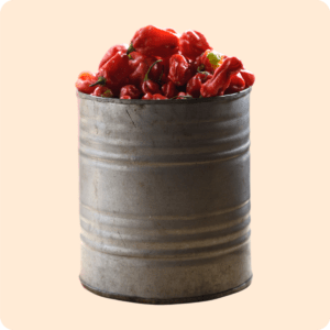 Red and Green Pepper