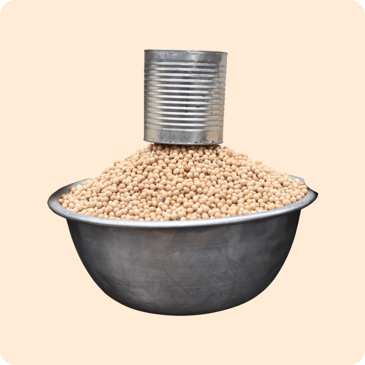 Dry Bambara Beans Olonka