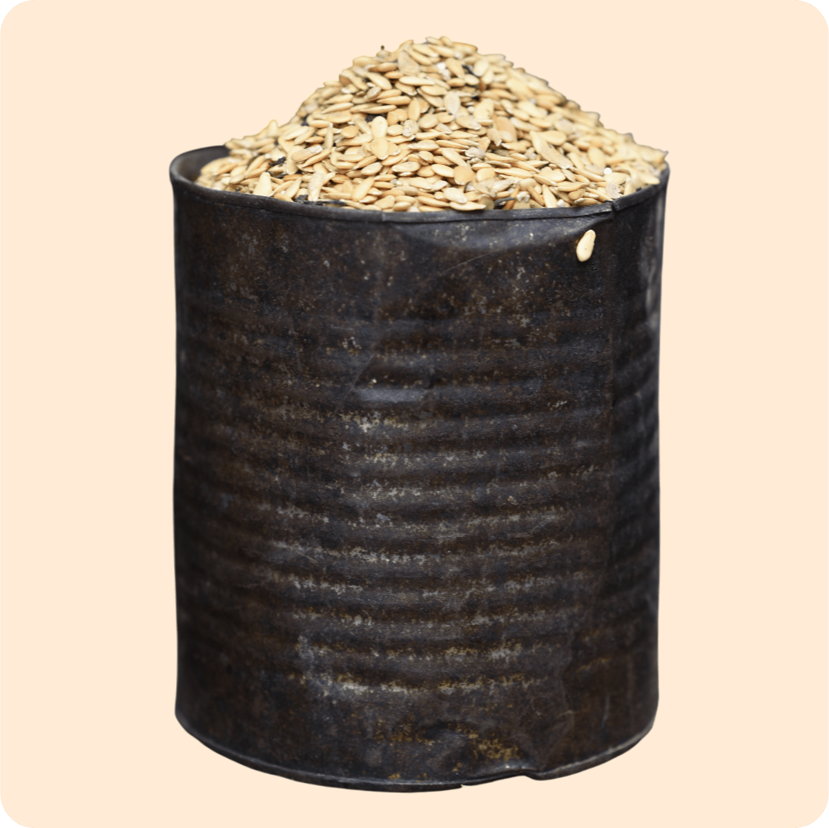 Dwakrom Muskmelon Seed