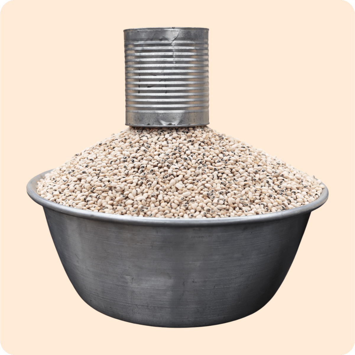 Local Dry Beans Olonka