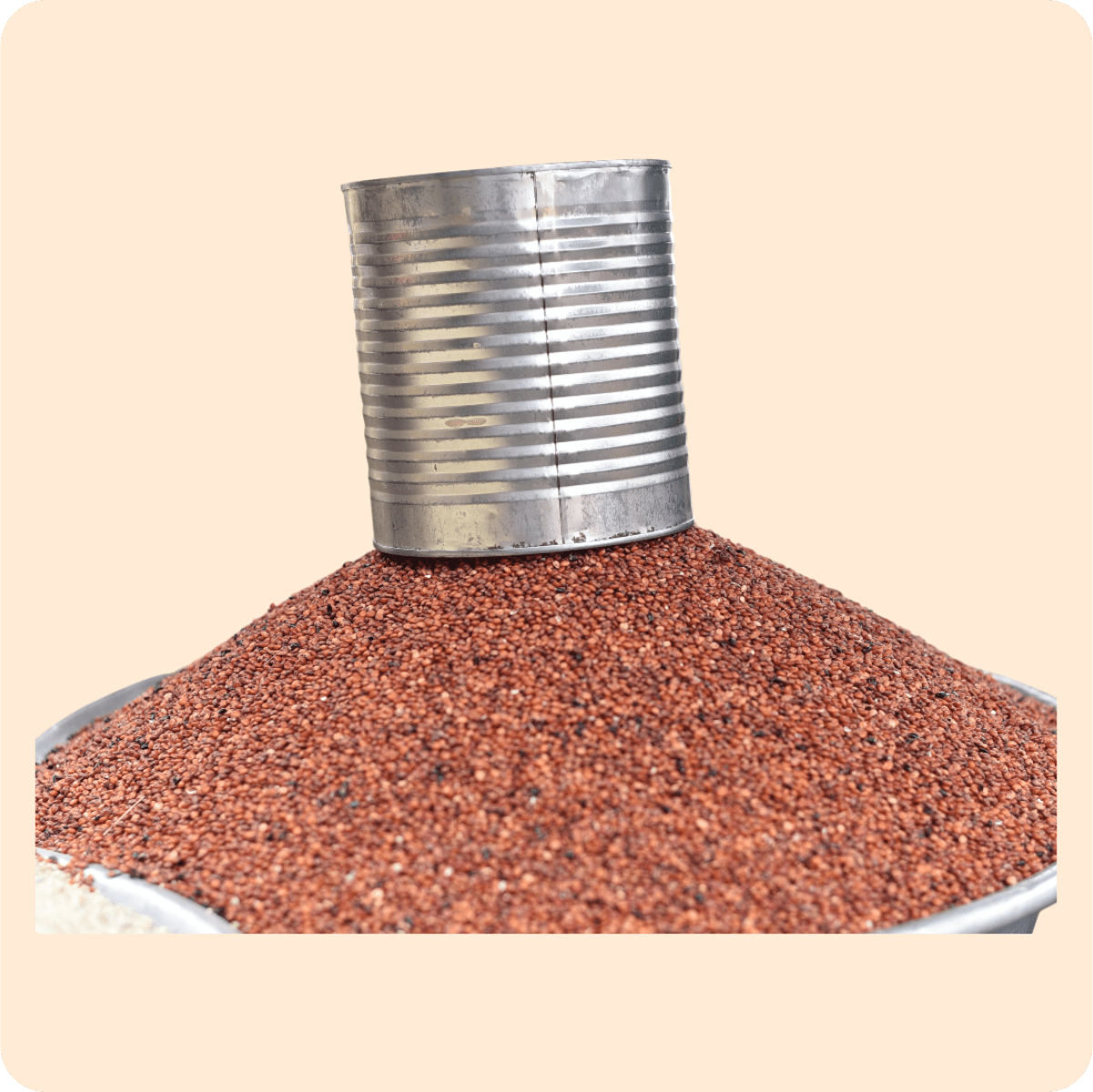 Local Red Millet in Olonka